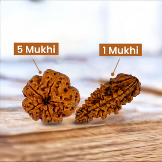 Wellness Guardian Duo Rudraksh