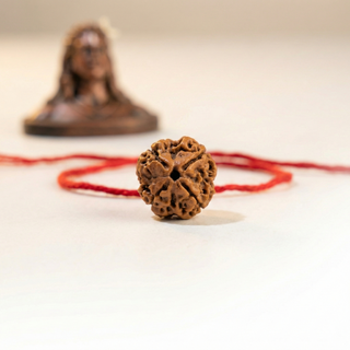4 Mukhi Rudraksh