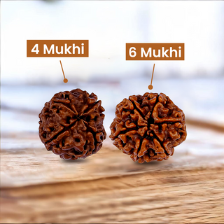 Children's Wisdom Duo Rudraksh