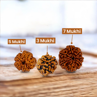 Holistic Health and Wellness Trio Rudraksh