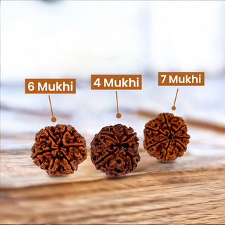 Path to Success Trio Rudraksh