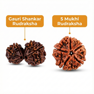 Griha Shanti - Relationship Harmony & Family Peace