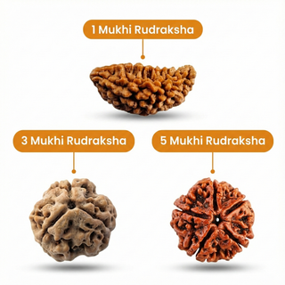 Hridaya Wellness Sanyog