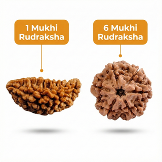 Jal–Mutravaha Sanyog