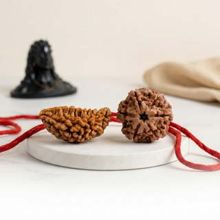 Jal–Mutravaha Sanyog