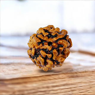 3 Mukhi Rudraksh