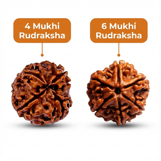 Saraswati Focus - Study, Memory & Exams