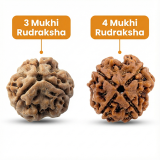 Vaani Power - Communication & Public Speaking