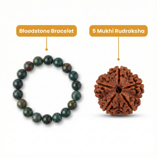 Vitality Shield - Energy & Wellness