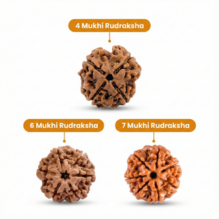 Vyapar Mastery - Business Growth & Execution