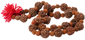 Liquid error (sections/purity-section line 117): invalid url input